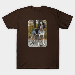 BLUETICK COONHOUND T-Shirt